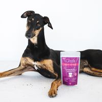 Gizzls Stress & Anxiety CBD Treats - Med/Large Dog